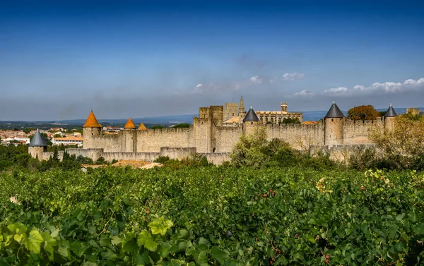 Spectacular Ancient Fortress Medieval City Carcassonne Vineyards Occitania France — Stock Photo, Image