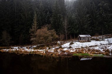 Avusturya 'daki Nehir Kampı ve Sisli Orman kıyısındaki Eski Ev