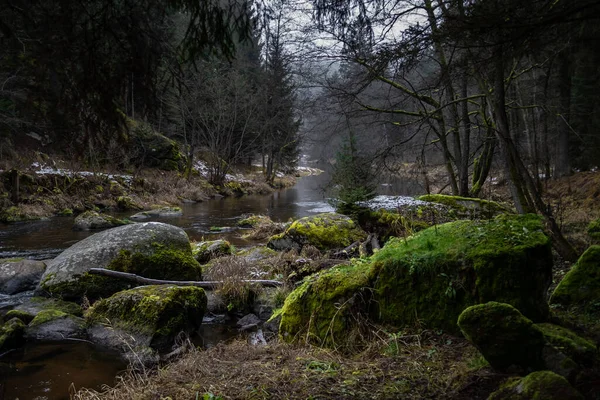 オーストリアの下オーストリア ワルドビアテル で森林とモッシーのボールダーで谷を流れる川カンプ — ストック写真