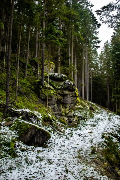 Opuštěný Jehličnatý Les Masivními Žulovými Balvany Dolním Rakousku Waldviertel — Stock fotografie