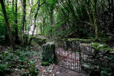 Birleşik Krallık, Galler 'deki Mawddach Estuary yakınlarında Barmouth Ormanı' nda yürüyüş patikası