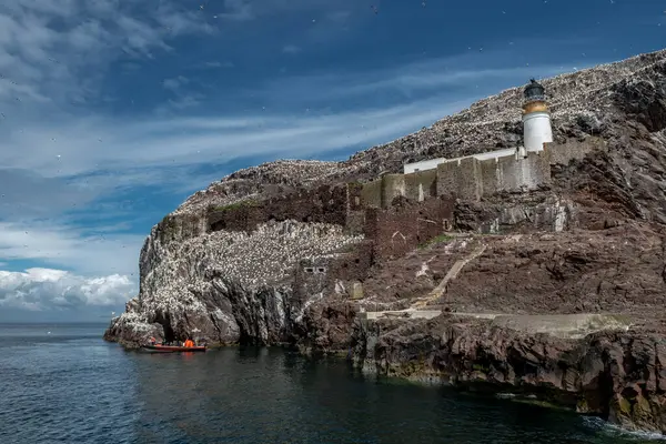 stock image Bass Rock Island With Nesting Northern Gannets (Morus Bassanus) In The Atlantic Ocean Of Firth of Forth At North Berwick Near Edinburgh In Scotland