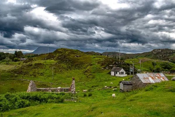 Stock image Old Farmhouse With Sheep In Rural Landscape At Loch Clash Near Kinlochbervie In Scotland, UK