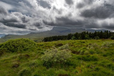 Iskoçya 'Da Skye Adası 'nda Storr oluşumu eski adam manzara dağ peyzaj