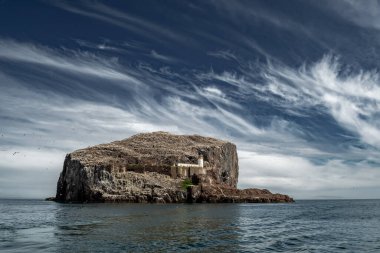 Bass Rock Island With Nesting Northern Gannets (Morus Bassanus) In The Atlantic Ocean Of Firth of Forth At North Berwick Near Edinburgh In Scotland, UK clipart