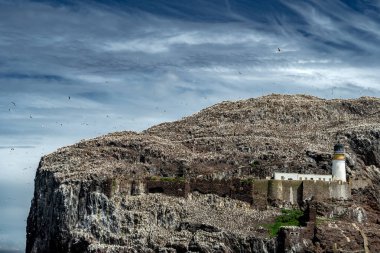 Bass Rock Island With Nesting Northern Gannets (Morus Bassanus) In The Atlantic Ocean Of Firth of Forth At North Berwick Near Edinburgh In Scotland, UK clipart