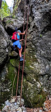 Via Ferrata 'daki Genç Kadın Avusturya' daki Alplerde Dağ Rax 'ında merdivenle