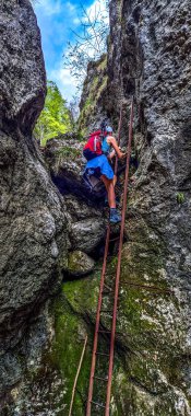 Via Ferrata 'daki Genç Kadın Avusturya' daki Alplerde Dağ Rax 'ında merdivenle