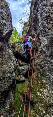 Via Ferrata 'daki Genç Kadın Avusturya' daki Alplerde Dağ Rax 'ında merdivenle