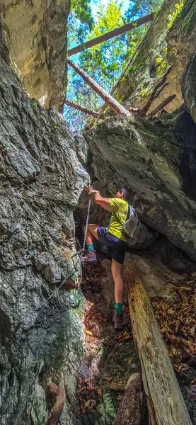 Via Ferrata 'daki genç adam Avusturya' daki Alplerde Dağ Rax 'ında merdivenle