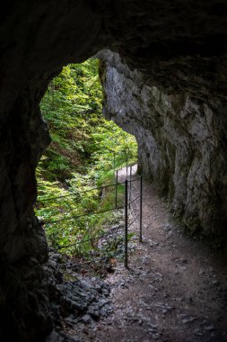 Avusturya, Tyrol 'da Brandenburger Ache ile Kanyon Kaiserklamm' dan Muhteşem Yürüyüş Yolu Triftsteig