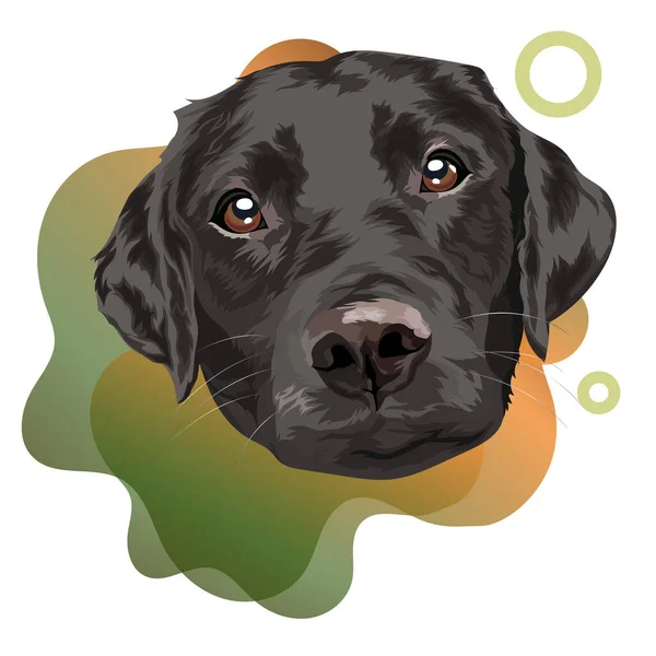 Labrador Negro Recuperador Retrato Perro Sobre Fondo Color Ilustración Vectorial — Vector de stock