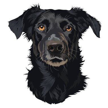 Siyah köpek, vektör hayvan portresi, evcil hayvan karikatürü.