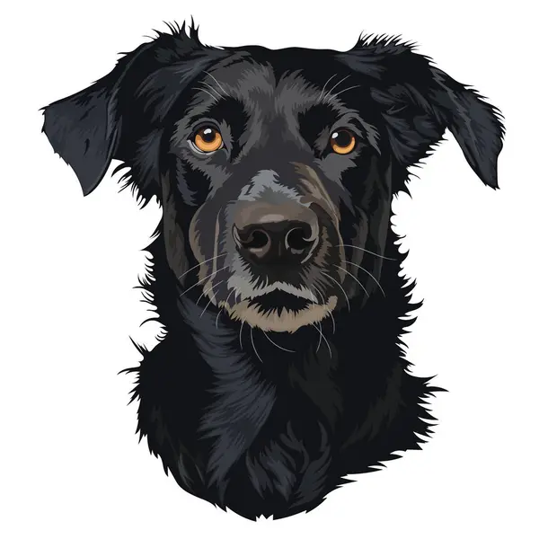 Черная Собака Векторный Портрет Животного Карикатурный Портрет Животного Стоковый вектор