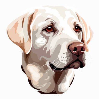 Labrador köpek çiftliği portresi, vektör başı illüstrasyonu