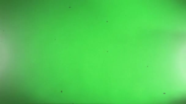 レトロな効果を持つクロマキー 緑の画面上で光漏れ 歪みやちらつきを持つ古いテレビの影響 オーバーレイに最適 ヴィンテージ — ストック動画