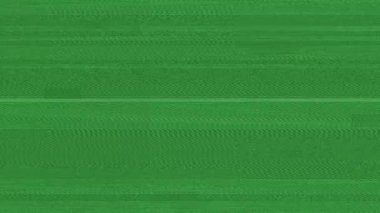 Green screen with VHS interference. Video Damage. Jitter, defects, noise and artifacts on the old TV screen. Analog Abstract Digital Animation. VHS.