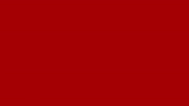 Efecto Estroboscópico Luces Intermitentes Abstractas Efecto Luz Estroboscópica Roja Blanca — Vídeo de stock