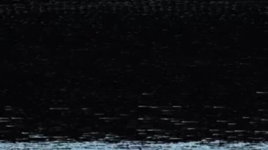 Soyut Dijital Animasyon. Sinyal yok. VHS. Televizyon gürültüsü ve eski ekran paraziti ile video sinyali hasarı. VHS kusurları, gürültü ve eserler, eski VHS kasetindeki arızalar. Bilgisayar virüsü.
