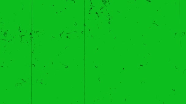 Scratch Efekt Zelené Obrazovce Poškrábat Texturu Televizní Obrazovka Škrábanci Poškození — Stock video