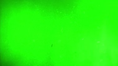 Kromakey arka planda retrosektör etkisi. Geçmişe dönük hasarlı yeşil ekran üzerindeki çizik dokusu. Televizyon ekranı çizikleri ve kusurları, üst üste kullanım için mükemmel. Eski.