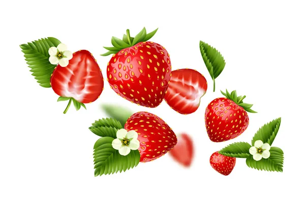 딸기가 피우고 삽화에 실제적 추상적 구성을 남긴다 — 스톡 벡터
