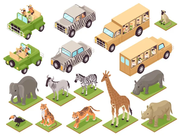 Iconos Isométricos Safari Fotográfico Con Vehículos Turísticos Animales Salvajes Ilustración — Vector de stock