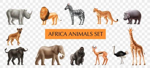 Animales Realistas África Ambientados Fondo Transparente Con Iconos Aislados Bestias — Vector de stock
