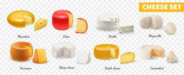 Realistic Cheese Transparent Icon Set Maasdam Edam Dorblu Mozzarella Parmesan — Stock Vector