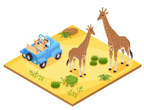 Concept Safari Photo Isométrique Avec Girafes Illustration Vectorielle Savane — Image vectorielle