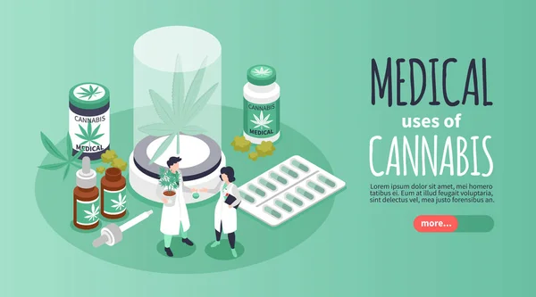 Usos Médicos Bandera Horizontal Cannabis Que Representa Los Cannabinoides Para — Vector de stock