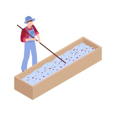 Fasulye yıkama veya ıslak işleme ile Isometric kahve üretim ikonu ve erkek işçi 3d vektör illüstrasyon