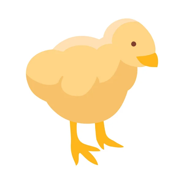 Изометрический Милый Желтый Цыпленок Белом Фоне Векторная Иллюстрация — стоковый вектор
