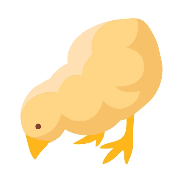 Kleine Gelbe Huhn Auf Weißem Hintergrund Isometrische Vektorillustration — Stockvektor
