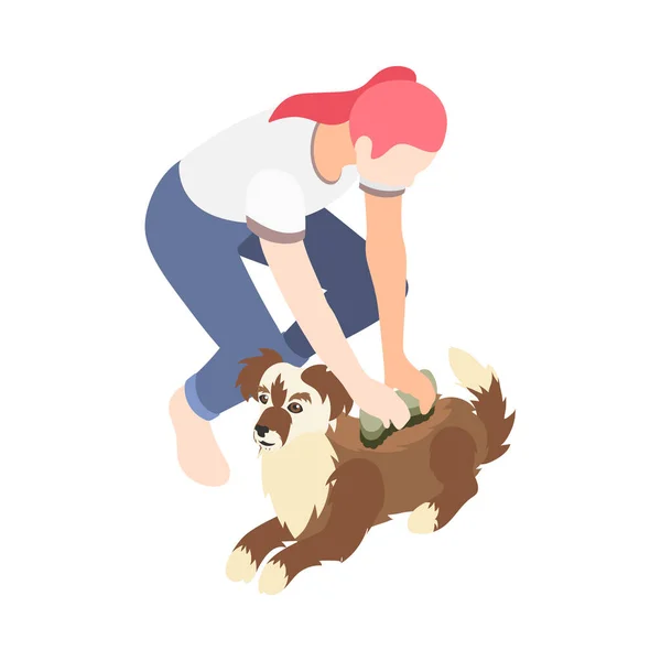 Isométrica Mujer Cepillado Pequeño Perro Icono Vector Ilustración — Vector de stock
