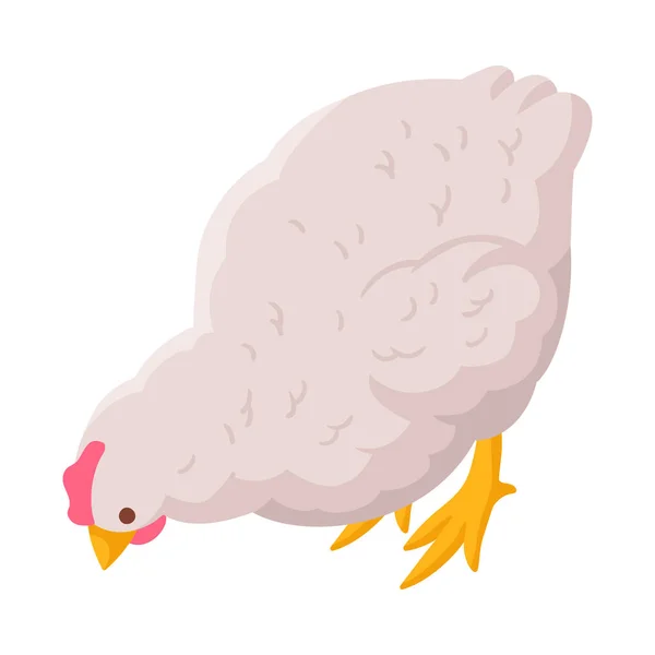 Boş Arkaplan Üzerinde Isometric Beyaz Tavuk Vektör Illüstrasyon — Stok Vektör