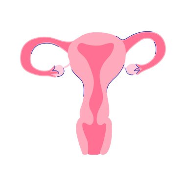 İzole edilmiş kişisel bakım düz resimli kadın hijyen bileşimi boş arkaplan vektör illüstrasyonunda izole edilmiş