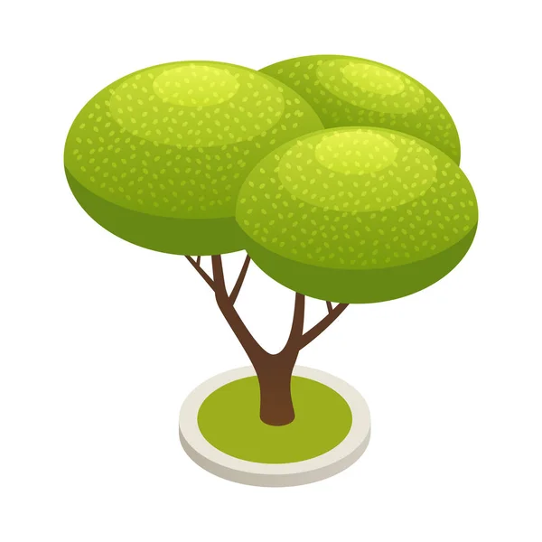 Grönt Träd Isometriskt Element Vit Bakgrund Vektor Illustration — Stock vektor