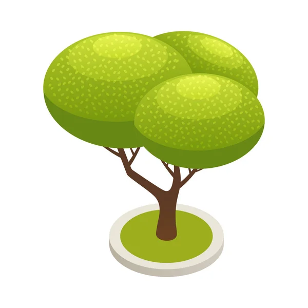 Izometrické Zelené Listí Strom Ikona Vektorové Ilustrace — Stockový vektor