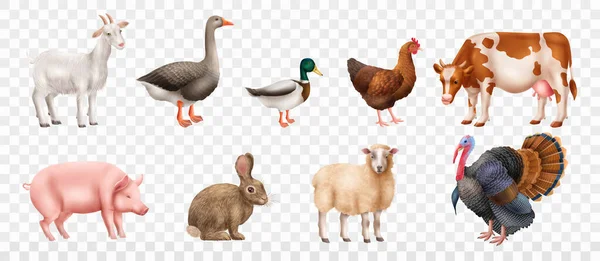 Realistische Nutztiere Mit Gänseziege Truthahn Schafe Kaninchen Kuh Ente Henne — Stockvektor