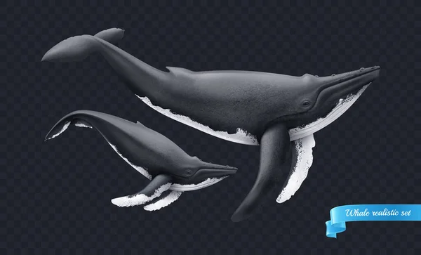 青リボンベクトルイラストの碑文と暗い透明モノクロームの背景に大小の現実的なクジラ — ストックベクタ