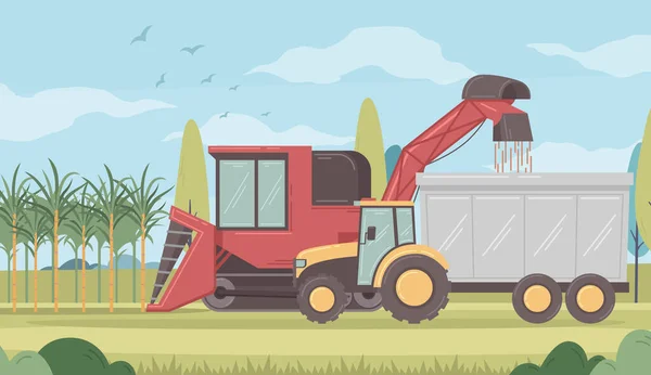 Sugar Production Cane Harvesting Process Cartoon Vector Illustration — Stock Vector