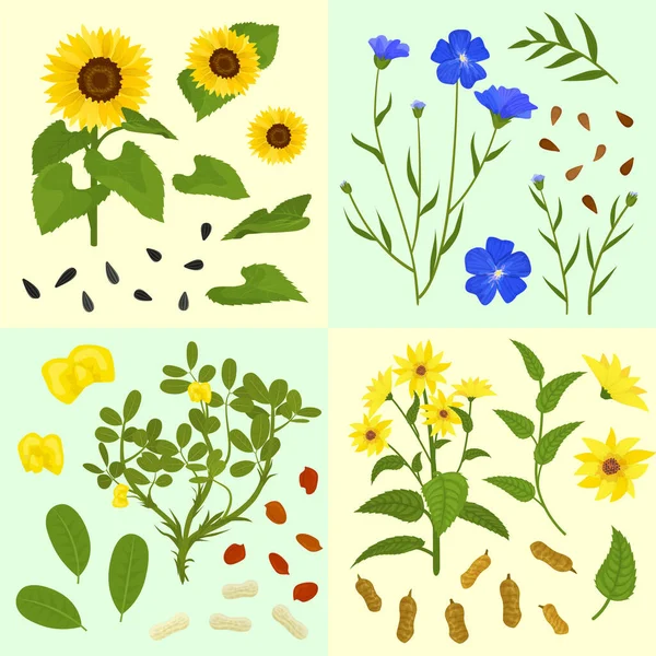 Technical Flowers Plants Flat 2X2 Set Square Compositions Isolated Images — Stock Vector
