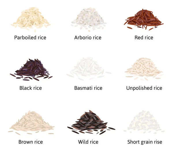 Typy Rýže Plochý Soubor Izolovaných Obrázků Hromadami Rýžových Krupic Upravitelnými — Stockový vektor