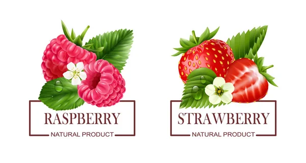 Berry Label Realistik Set Raspberry Matang Dan Gambar Strawberry Dan - Stok Vektor