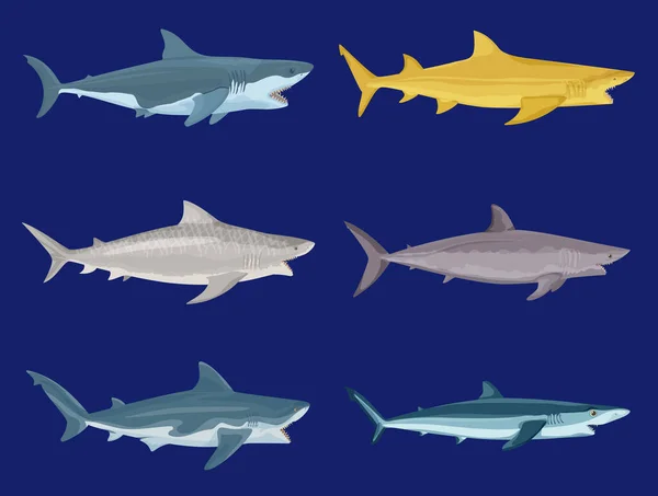Επίθεση Καρχαρίες Επίπεδη Που Μεμονωμένες Εικόνες Άποψη Πλευρά Των Έγχρωμων — Διανυσματικό Αρχείο