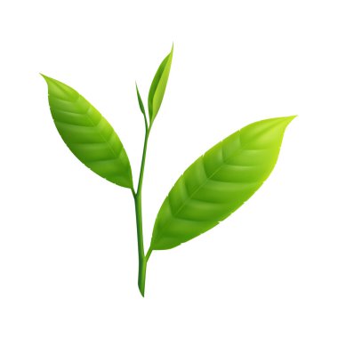 Boş arkaplan çizimi üzerine izole çay içeceği ikonu içeren çay poşeti gerçekçi kompozisyonu