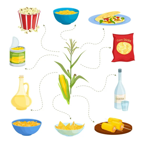 Maïsproducten Platte Set Met Geïsoleerde Beelden Van Geserveerd Gerechten Dranken — Stockvector
