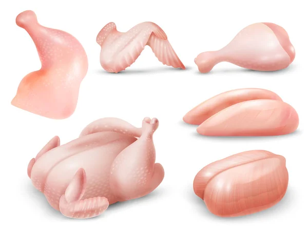 Realistische Rauwe Kip Vlees Set Met Karkas Borsten Vleugel Been — Stockvector