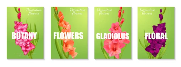 Vertical Poster Set Realistic Gladiolus Flowers Different Colors Green Background — Stock Vector